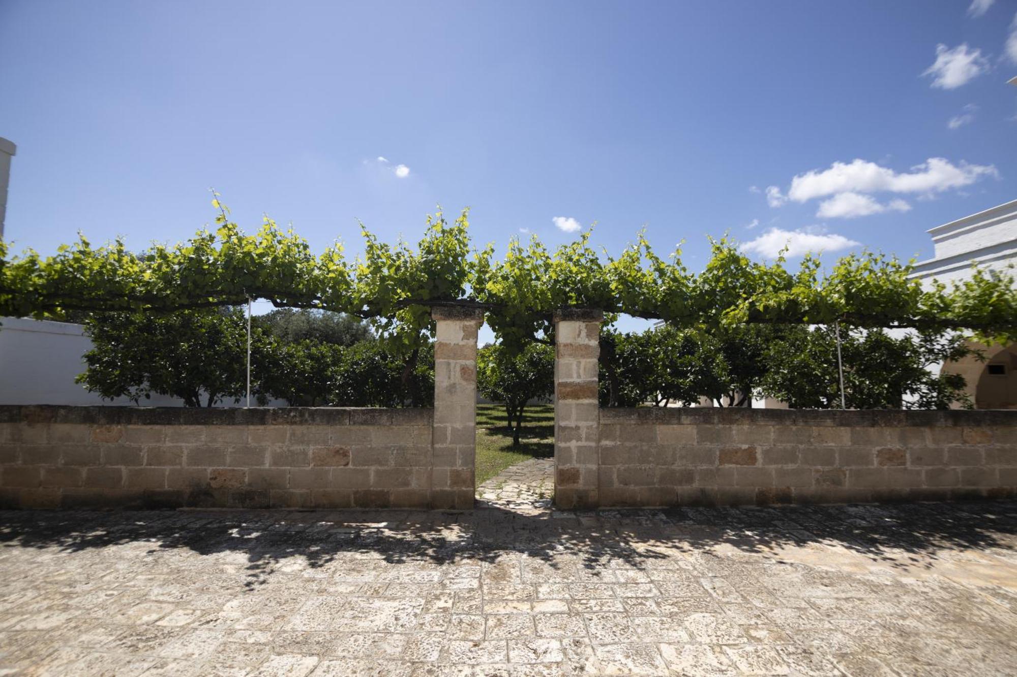 Masseria Palmo Франкавила Фонтана Екстериор снимка
