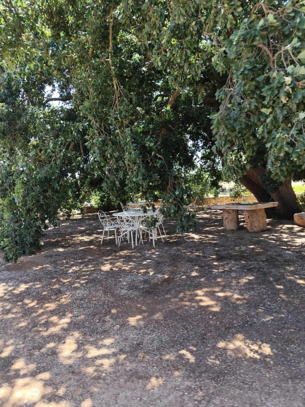 Masseria Palmo Франкавила Фонтана Екстериор снимка