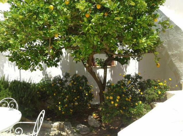 Masseria Palmo Франкавила Фонтана Екстериор снимка